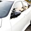 Форма рога ABS углеродное волокно Стиль боковое зеркало заднего вида Кепки для Honda Civic 10th 2016 2017