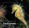 Книга In the Company of Seahorses