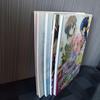 [USED] Super rare book, art book, strategy guide, visual fan book, Yunohana L's Season, 4 volumes