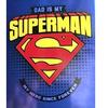 Superman Fleece Throw: 100 X 140 Cm