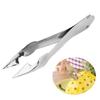 Portable Pineapple Peeler Stainless Steel Pineapple Cutter Corer Clip Ananas Pineapple Slicer for Fruit Salad Kitchen Gadget