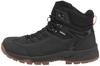 Hiking Shoes Icepeak Abaco MR Black