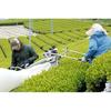 Powdered green tea 200g x 3 bags (600g) bulk use (sencha powder) 100 from Kakegawa Shizuoka Prefecture