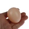 5Pcs Fake Dummy Egg Hen Poultry Chicken Joke Prank Plastic Eggs Home Party Decor