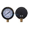 Компактный манометр Y3NA 0-60 PSI 190058 Замена для Pentair- и Бассейна