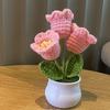 1PC Handmade Weaving Mini Potted Flowers DIY Home Office Desktop Decoration Potted Plants Wool Home Decoration