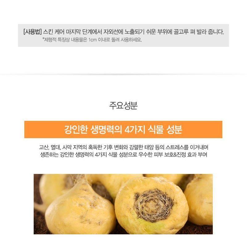 The Saem Водостойкий солнцезащитный стик Eco Earth
