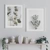 Botanical Eucalyptus Plant Canvas Paintings Nordic Simple Posters and Prints Interior for Living Room Hallway Home Cuadros Decor