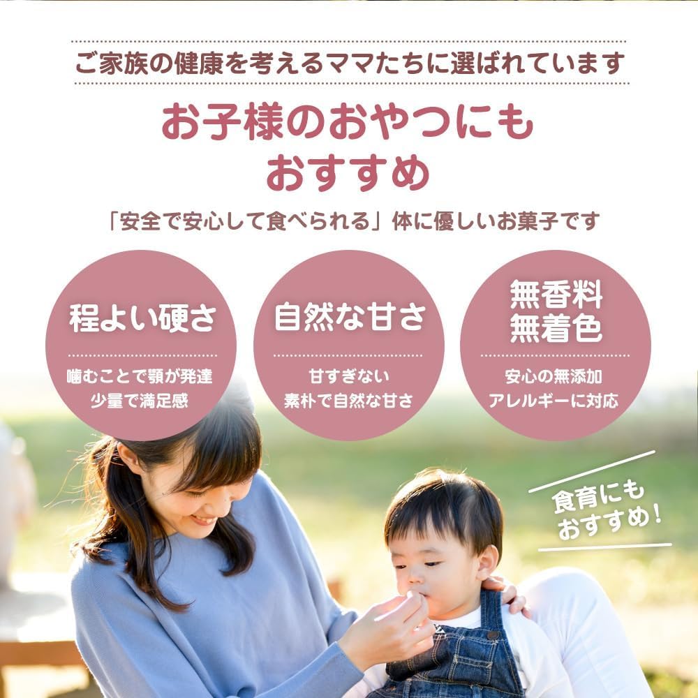 Takachiho Mura Tabi Rice Flour Cookies Gluten-Free Brown Rice Sweets Additive-Free Rice Bran Biscotti 40g Carob Hyuganatsu Apple Cinnamon Pumpkin