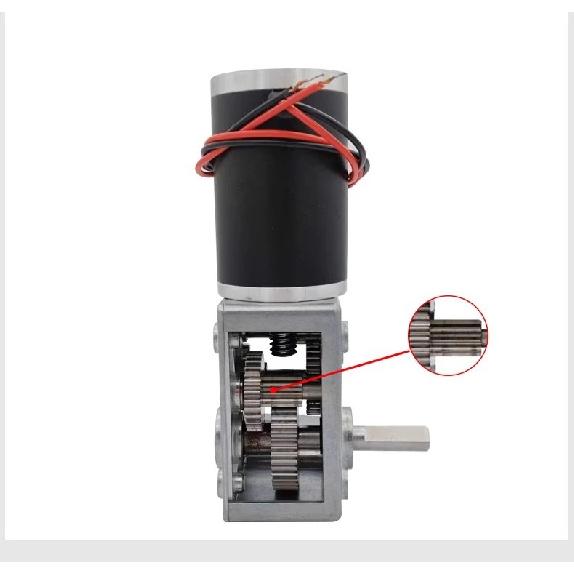 5882-50ZY Double Shaft Max 300KG.CM High Torque DC 12V 24V Worm Gear Motor
