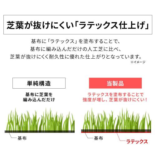 IRIS OHYAMA Бытовой искусственный газон 1м x 10м Длина ворса 3см Устойчив к плесени Поставляется с 16 U-образными шпильками Балкон Сад Мягкая текстура и реальное прикосновение