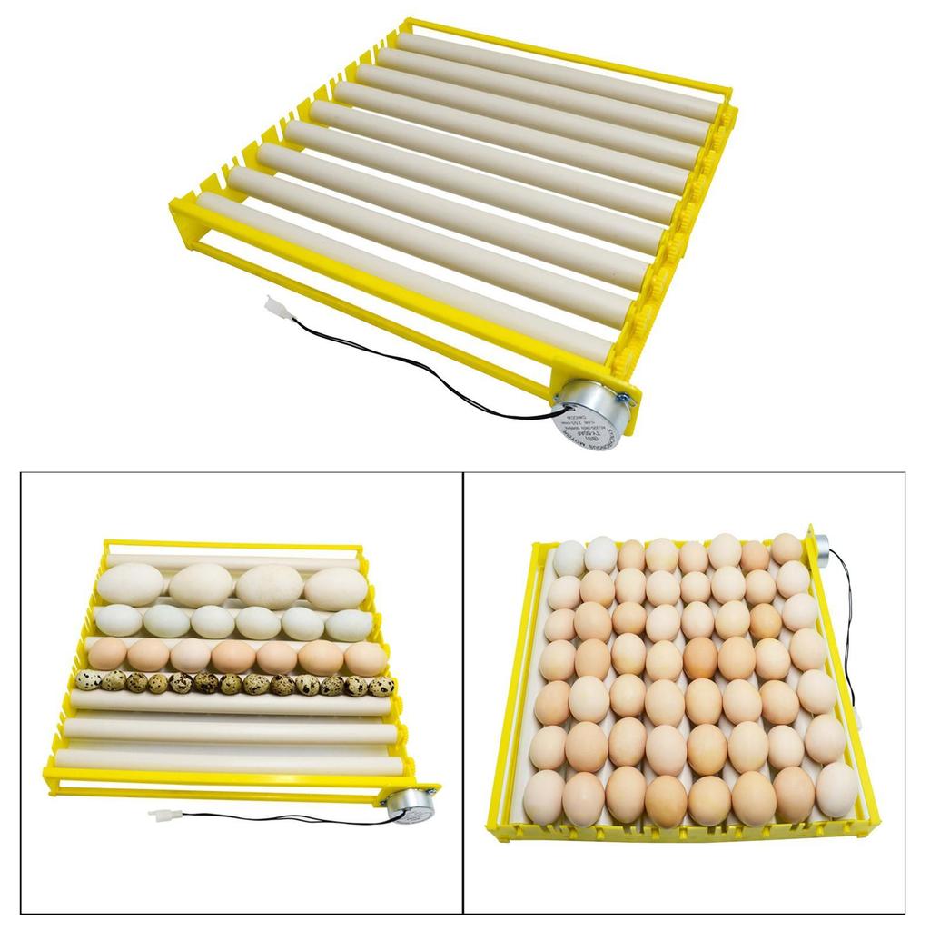 Plastic Egg Incubator Tray Accessories Automatic Egg Turner Duck Quail 220V