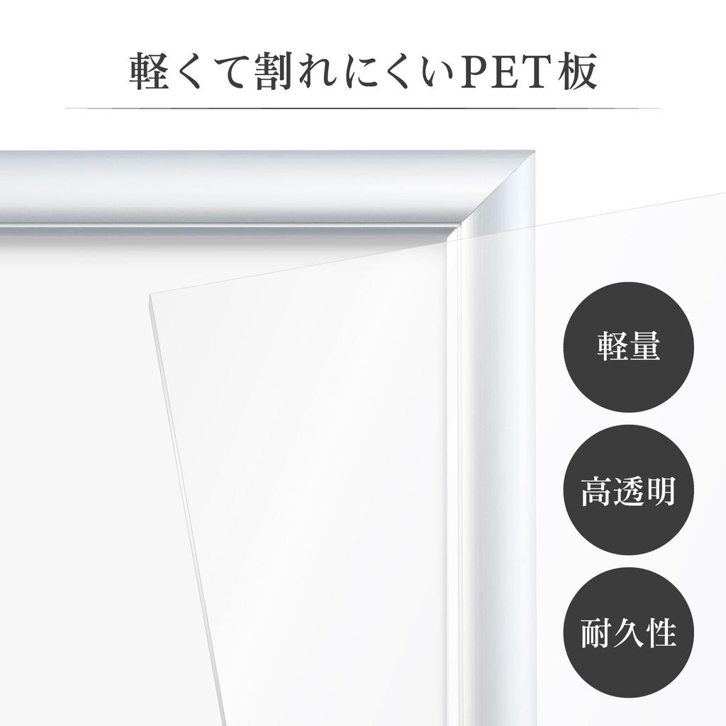 HAKUBA Алюминиевая фоторамка Peoria формата А4, набор из 10 предметов, серебряная рамка для плаката, фоторамка, передняя панель из ПЭТ с подвесным ремнем [оптовый набор]