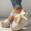 Fashion Lace Leisure Women Wedges Heeled Women Shoes 2024 Summer Sandals Party Platform High Heels Shoes Woman
