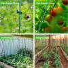 Garden Trellis Net Plant Support Netting for Climbing Plant Outdoor Flexible String Net for Bean Peas Vegetables Tomato
