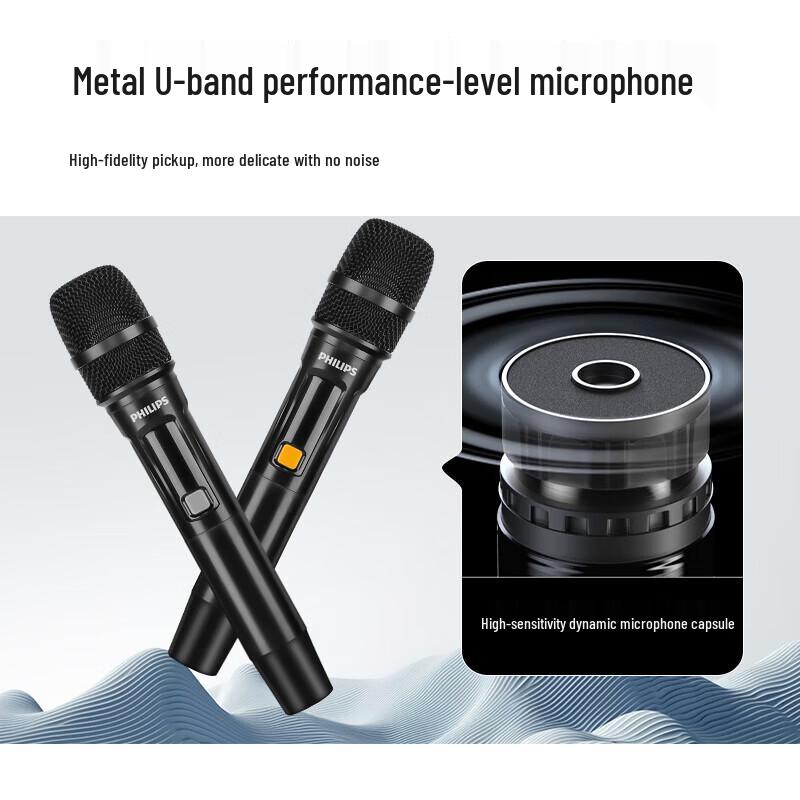 Philips SD170MAX Portable Outdoor Bluetooth Speaker (CN version)