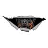 Rottweiler 3D Car Sticker, Fun Waterproof Sticker for Cars, Trucks, Motorcycles, Walls, Windows, PVC Material