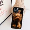 Чехол для телефона с Йоркширским терьером для iPhone 17 Pro Max 16 15 11 13 12 14 Pro Max mini 15 16 Plus 16e 17 Air Cover