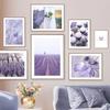 Purple Painting Canvas Flowers Lilac Lavender Poster Bicycle Country Landscape Picture Home Wall Bedroom Decoration Background