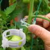50pcs Gardening Plant Clip Anti-break Holder Tomato Tree Support Stand Branches Garden Strengthen Fixing Stalk Retaining