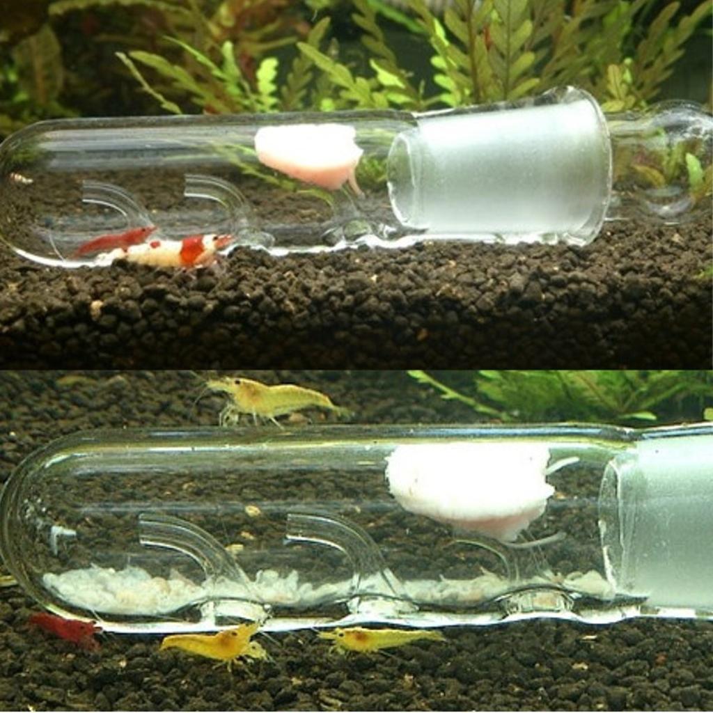 Планарийные ловушки Аквариум VIV Pest Catch Pen Креветки Пиявки Планнарии Растительная ловушка Ловец червей