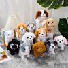 Cat Dog Plush Toy Will Bark Walk Tail Wagging Lovely Kitten Corgi Bichon Frise Poodle Husky Companion Soothe Toy Simulation Electric Plush Puppy Doll