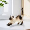 Handmade Cat Hair Storage Box Transparent Dog Fur Storage Pendant  Pet Souvenirs