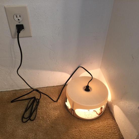 Нетоксичный домашний светодиодный светильник для домашних животных, липкая ловушка для блох, инструмент для борьбы с вредителями, ловец-убийца