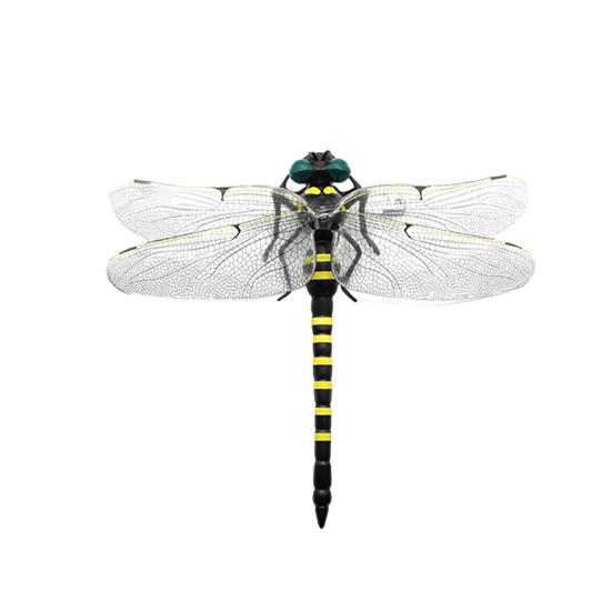 Simulated Dragonfly Pendant PVC Hanging Repellent Realistic Design Pest Deterrence Ornament Dragonfly Hunting Accessory