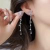 Luxury Niche Super Fairy Temperament Long Tassel Butterfly Earrings Women's Versatile High-end Zircon Earrings