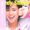LP Record SEIKO MATSUDA - Windy Shadow 28AH1800 CBS SONY 1984 Japan Obi Japanese Pop Star Used