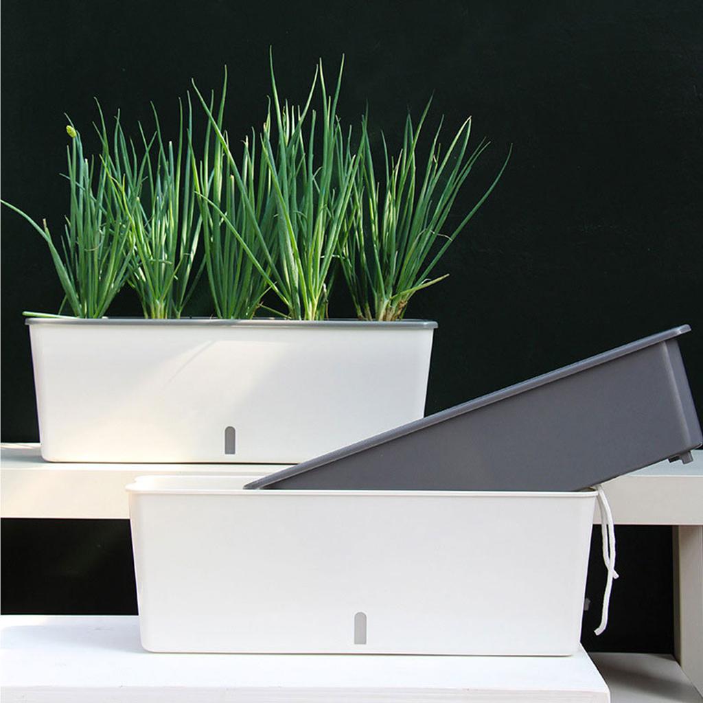 Self-Watering Planter Pots with Handy Water Level Indicator Gift for Friends Families Neighbors
