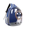 Transparent Cat Backpack 2024 - Portable, Breathable Space Capsule for Pets