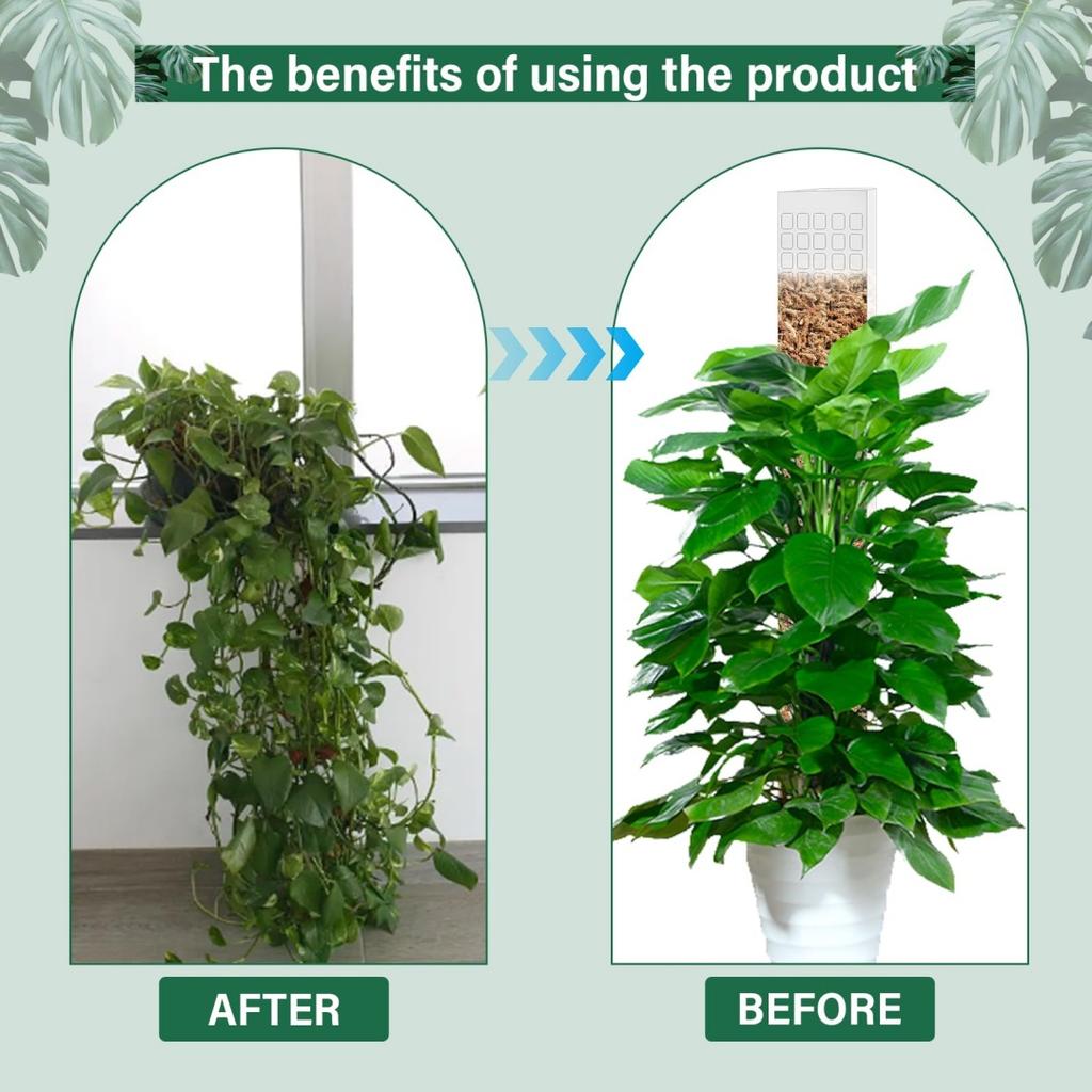 2/4/6Pcs Climbing Plant Water Moss Column Indoor Moss Pole Plants Plastic Pole for Sphagnum Support Potted Plants Sticks Creeper