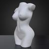 Resin Female Body Vase Resin Plants Pot Women Statues Desktop Ornament Decor