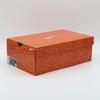 FN7672-900 Nike Alphafly 3 Сафари Олимпийские (Мужской)