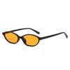 Retro Oval Cat Eye Sunglasses for Women Y2k Trendy Small Narrow Sunnies 90s Designer Sun Glasses Lentes  Mujer Oculos