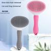 Hair removal One click design dog Pet Cleaning Brush Pet Hair Cleaner Cat Accessories Delicate Animals Comb brush Non-slip Grooming Brush  Supply