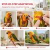 Adjustable Bird Harness Leash 120cm Length Bird Flying Harness Pet Bird Harness  Outdoor Flying