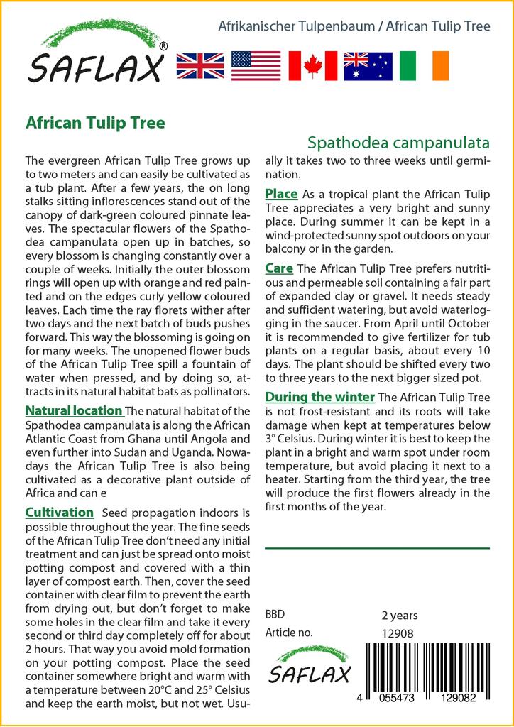 SAFLAX Африканское тюльпановое дерево - 30 семян - С горшечным субстратом для лучшего выращивания - Spathodea Campanulata