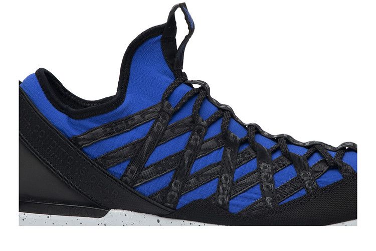 Nike ACG React Terra Gobe Гипер Роял