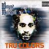 CD WAYNE MARSHALL - Tru Colors GY22406 Ghetto Youths U 2014 США Регги, Ска и Даб