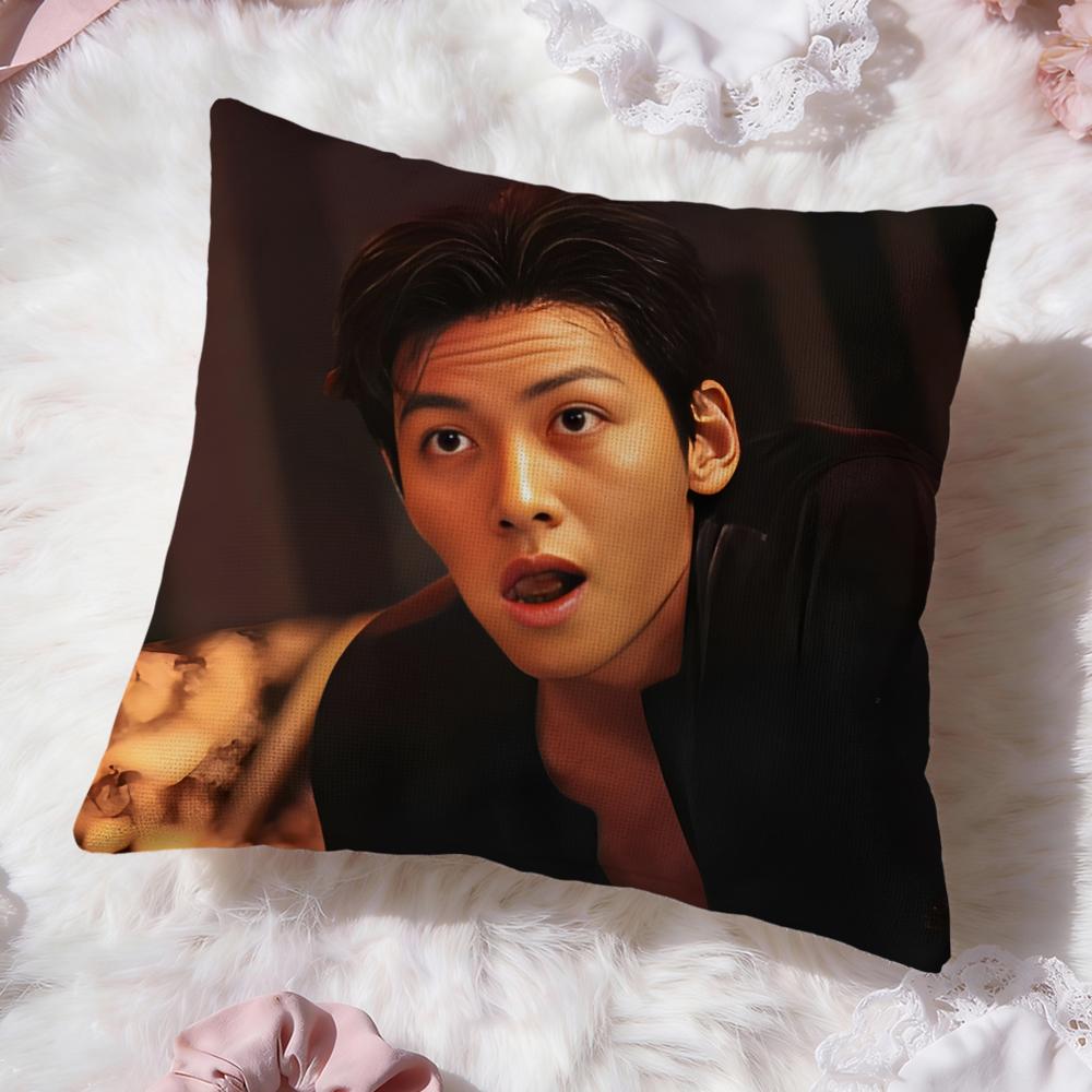 Чехол для подушки Kpop Ji Chang W-Wook Премиум Комфорт Двусторонний Чехол для Подушки - Дизайн Два в Одном для Любой Комнаты и Салона Автомобиля