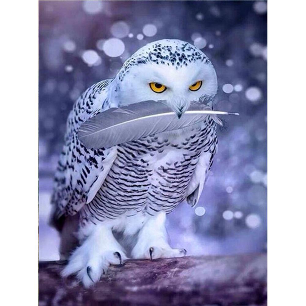 Алмазная картина Новая Сова 5D Алмазная вышивка Крестом Животные Стразы Мозаика Распродажа Decortion