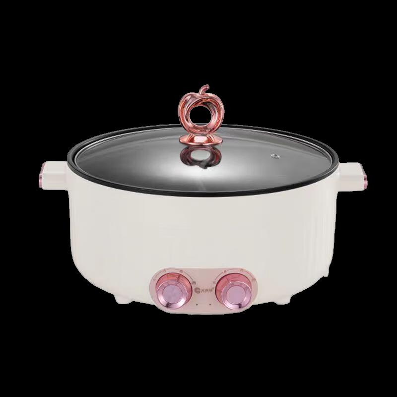 Multi-functional Electric Hot Pot with Divider