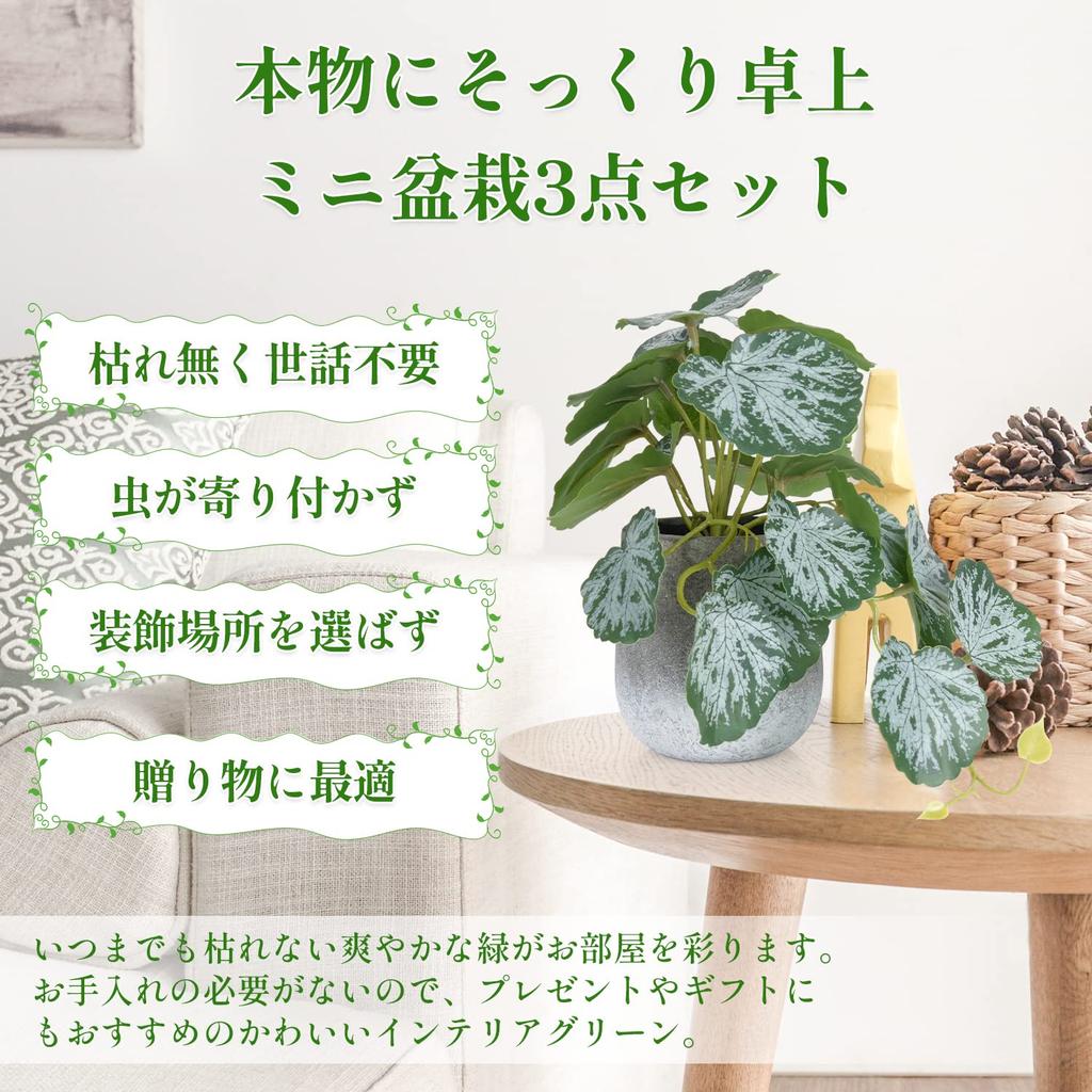 XiaZ Faux Greenery Tabletop Artificial Mini Potted Small Faux Stylish No Watering Care Perfect Gift for or Any Festival 3-Piece Set, Plants, Plants,