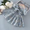 Girls Summer Floral Dress New Children's Baby Fashionable Dress Baby Girl Bow Princess Dress