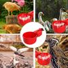 2Pcs Chicken Drinker Automatic Water Dispensing Spring Loaded Control Chicken Drinking Cup Automatic Drinker Poultry Supplies