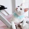 Кружевной свадебный нагрудник ручной работы для домашних животных с регулируемыми ремнями, жемчужной вышивкой, дышащий удобный ошейник для домашних животных