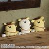 Sanrio Pompompurin X Obungu To Issho Плоский мягкий талисман 3 Пудинг Сан